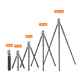 Lion rock pro including tripod head