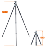 Lion rock pro including tripod head