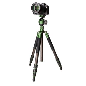 Rollei Stative Lion Rock Traveler M Green Edition - Carbon Stativ